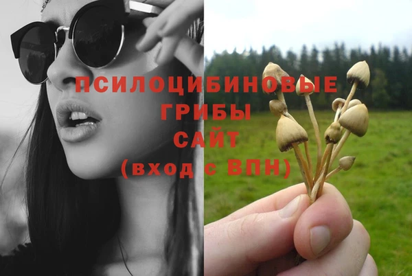 каннабис Кукмор