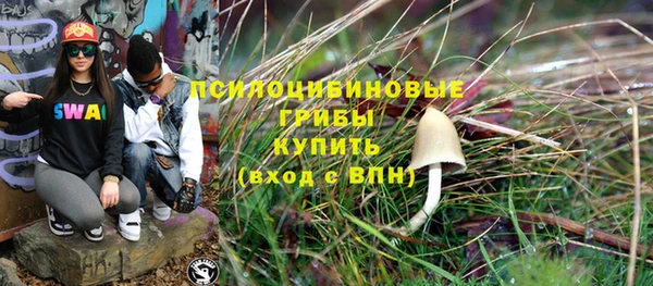 индика Зарайск