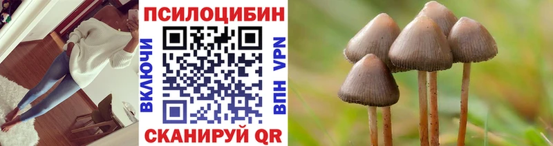 Псилоцибиновые грибы мухоморы  блэк спрут ТОР  Мглин 